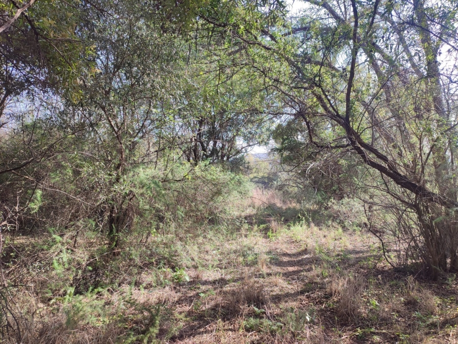 0 Bedroom Property for Sale in Zeerust North West